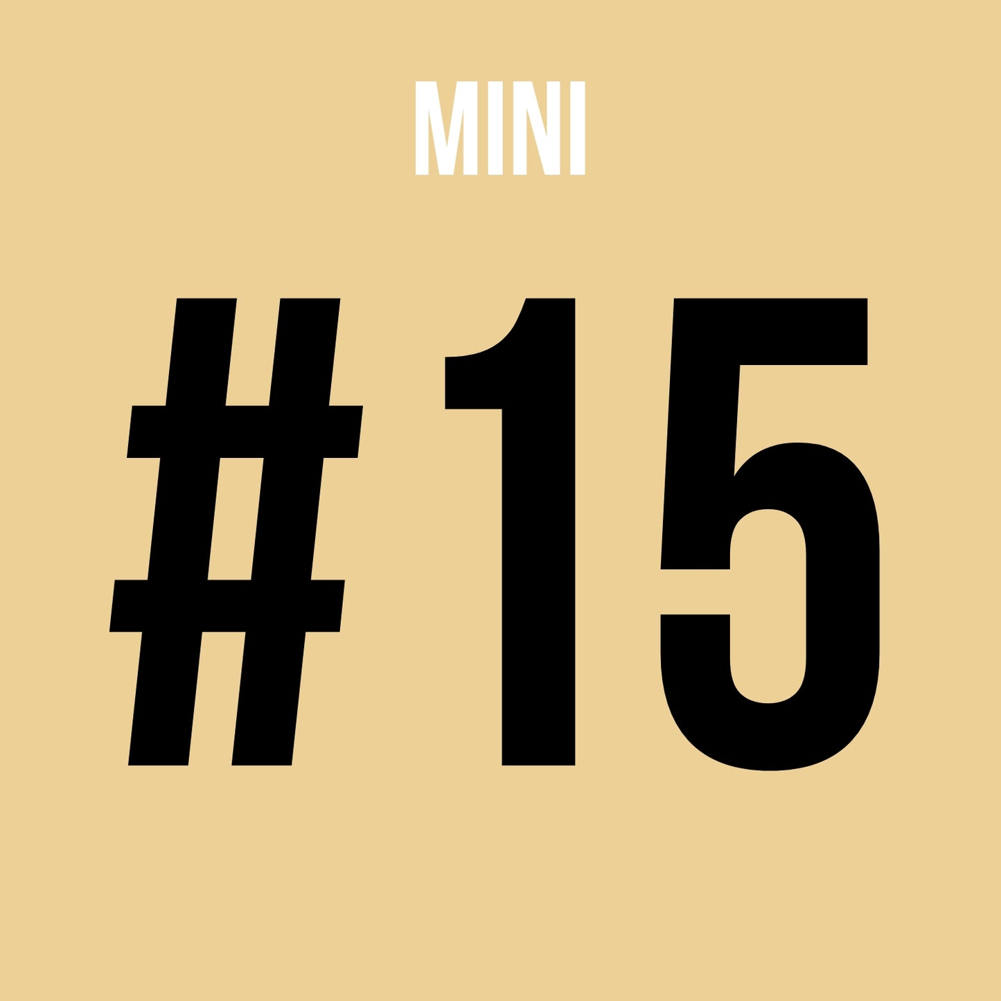 Mini HM1001 (Limited)